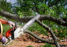 Leaf Removal in England, AR