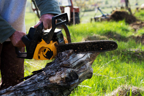 Best Arborist Consultation Services  in England, AR