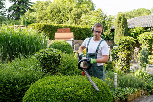 Seasonal Cleanup (Spring/Fall)